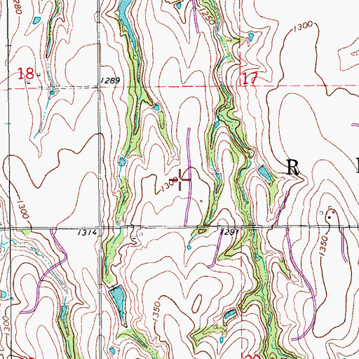 Topographic Map of Township of Reno, OK