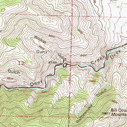 Topographic Map of Wildcat Gulch, CO