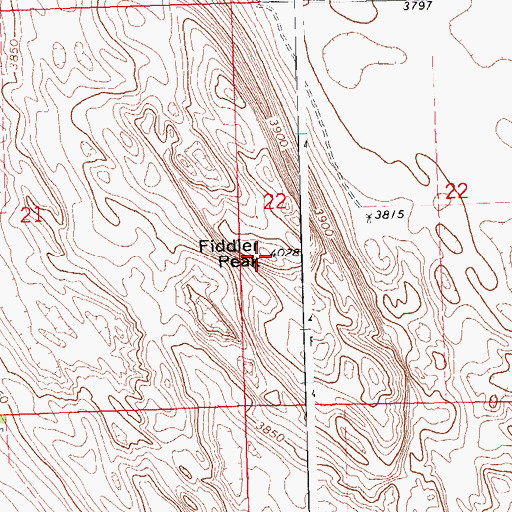 Topographic Map of Fiddler Peak, CO