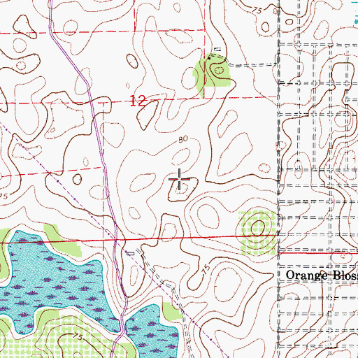 Topographic Map of The Villages, FL