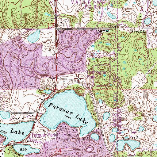 Topographic Map of Huntington Park, MN