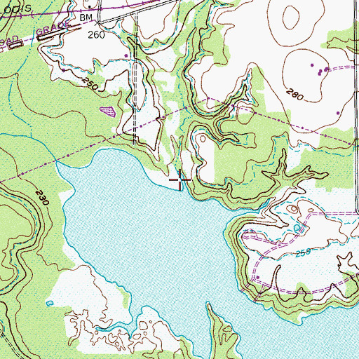 Topographic Map of Fleming Creek, TX
