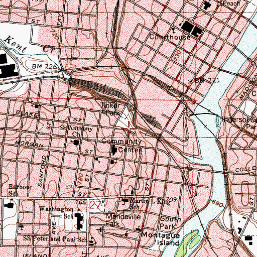 Topographic Map of Swiss Cottage, IL