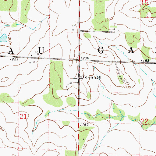 Topographic Map of Eau Galle Townhall, WI