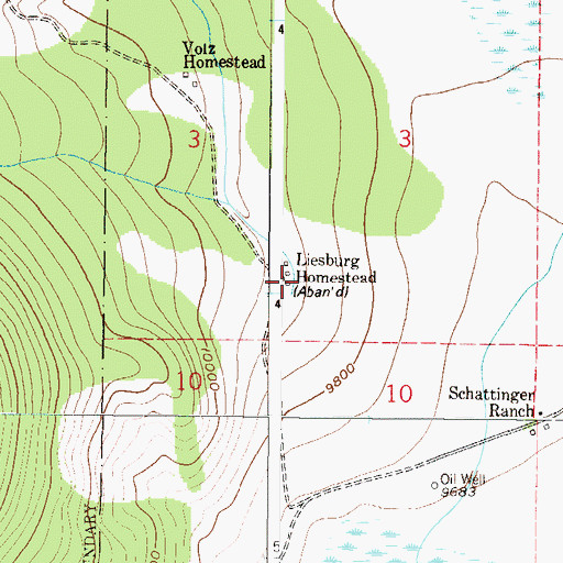 Topographic Map of Liesburg Homestead, CO