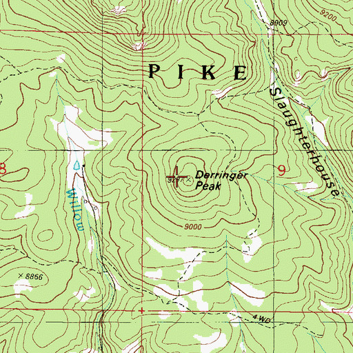Topographic Map of Derringer Peak, CO