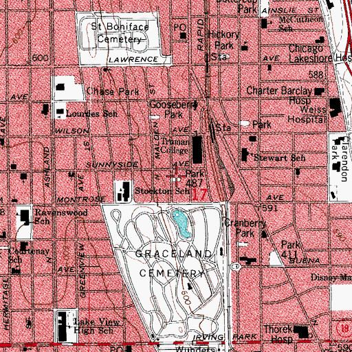 Topographic Map of Park 487, IL