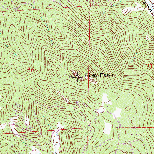 Topographic Map of Riley Peak, CO