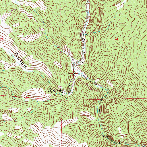 Topographic Map of Shattuck Gulch, CO