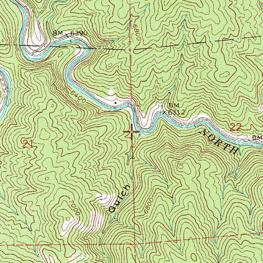 Topographic Map of Lion Gulch, CO