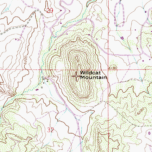 Topographic Map of Wildcat Mountain, CO