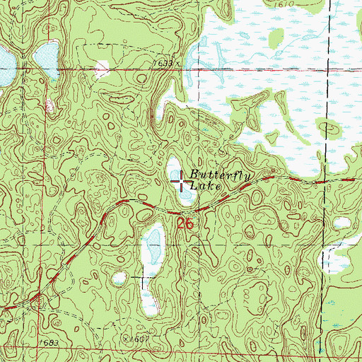 Topographic Map of Butterfly Lake, WI