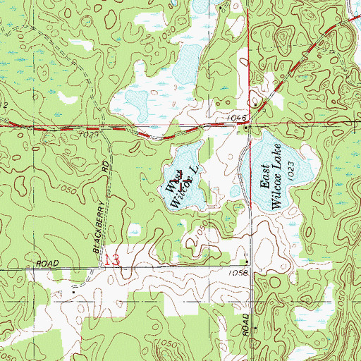Topographic Map of West Wilcox Lake, WI