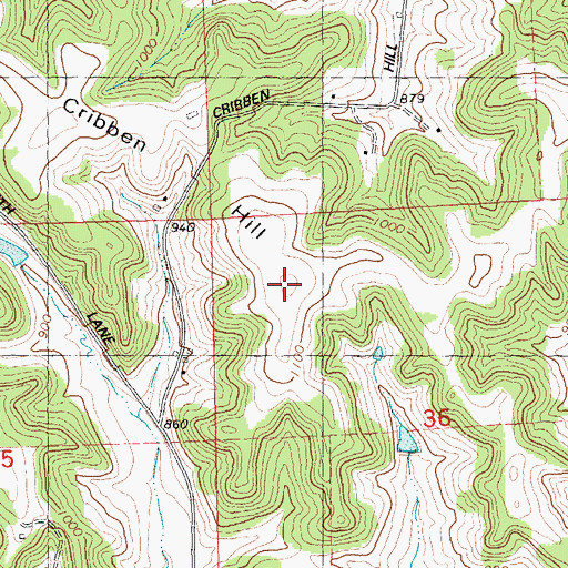 Topographic Map of Cribben Hill, WI