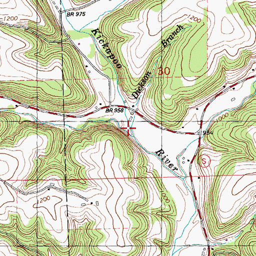 Topographic Map of Dickson Branch, WI