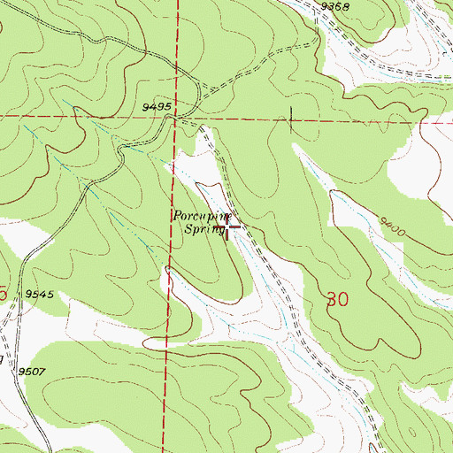 Topographic Map of Porcupine Spring, CO