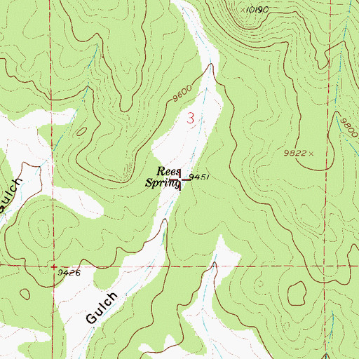 Topographic Map of Rees Spring, CO