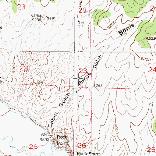 Topographic Map of Bonis Gulch, CO