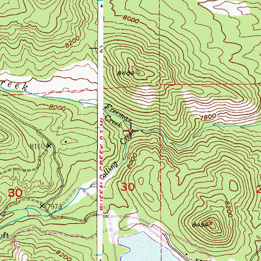 Topographic Map of Freeman Creek, CO