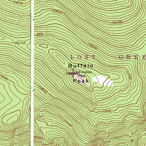 Topographic Map of Buffalo Peak, CO