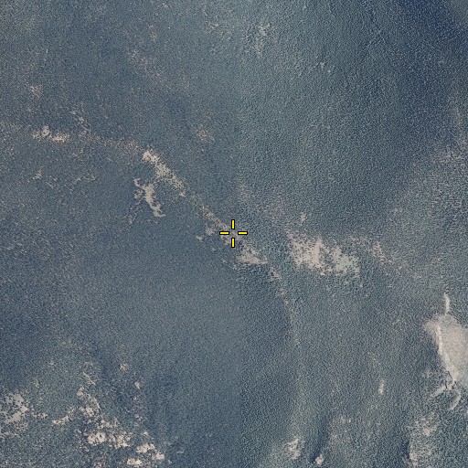 Aerial/Satellite Image of Buffalo Peak, CO