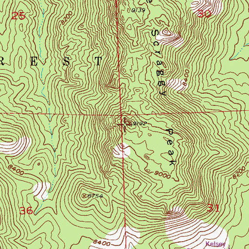 Topographic Map of Little Scraggy Peak, CO