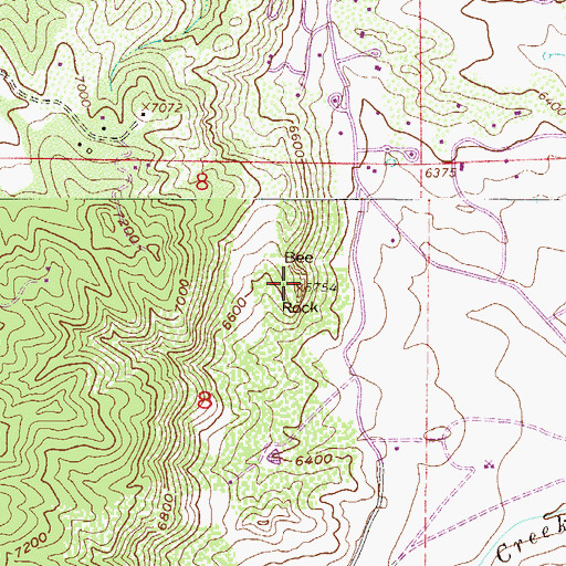 Topographic Map of Bee Rock, CO