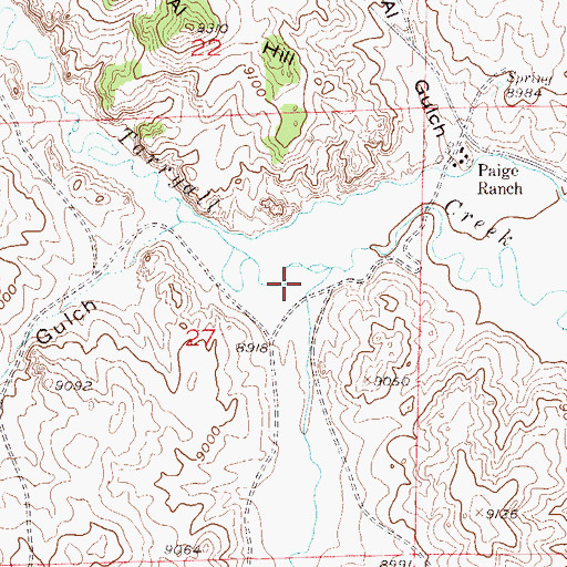 Topographic Map of Ruby Gulch, CO