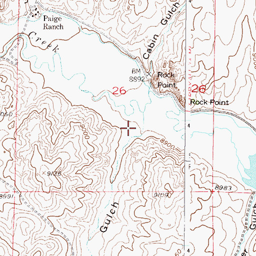 Topographic Map of Turner Gulch, CO