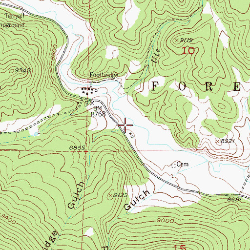 Topographic Map of Bridge Gulch, CO