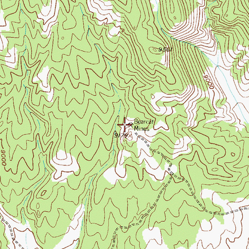 Topographic Map of Bearcat Mines, CO