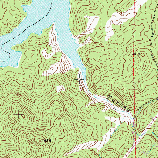 Topographic Map of Turkey Creek, CO