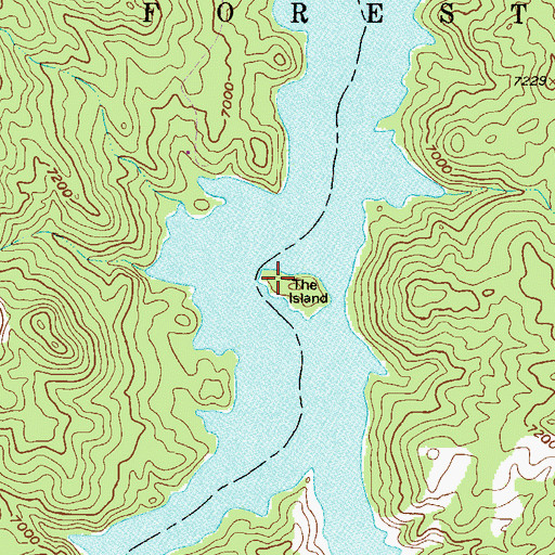 Topographic Map of The Island, CO