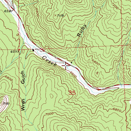 Topographic Map of Ruby Gulch, CO
