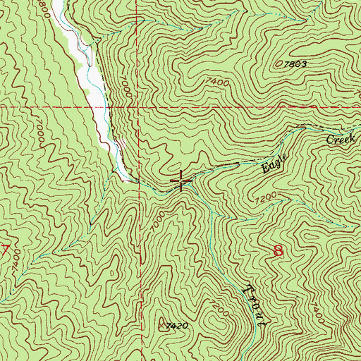 Topographic Map of Eagle Creek, CO