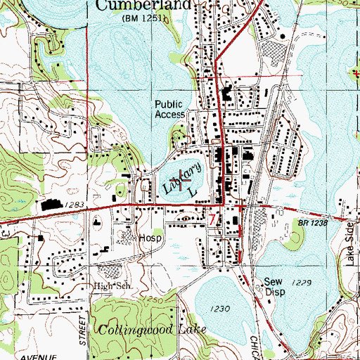 Topographic Map of Library Lake, WI