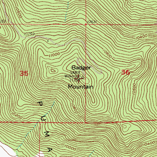 Topographic Map of Badger Mountain, CO