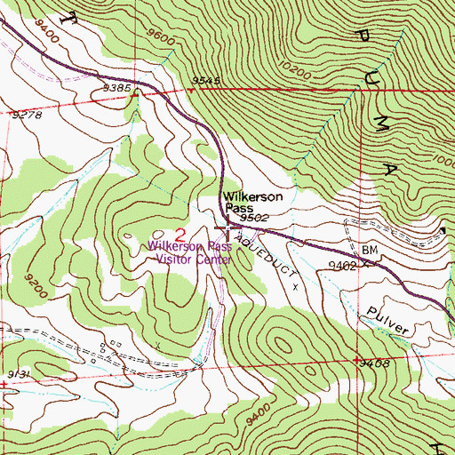 Topographic Map of Wilkerson Pass, CO