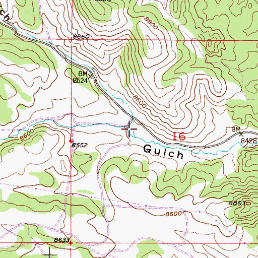 Topographic Map of Thorpe Gulch, CO