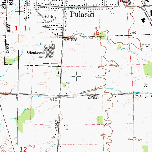 Topographic Map of Pulaski High School, WI