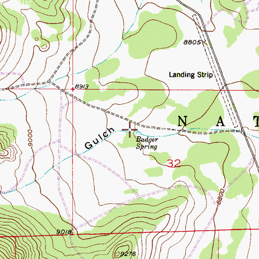 Topographic Map of Badger Spring, CO