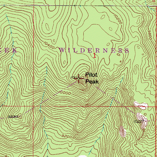 Topographic Map of Pilot Peak, CO
