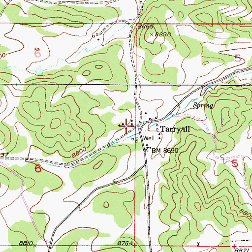 Topographic Map of Tarryall, CO