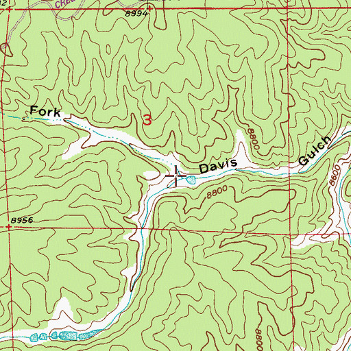 Topographic Map of South Fork Davis Gulch, CO