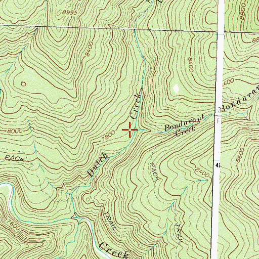 Topographic Map of Bondurant Creek, CO