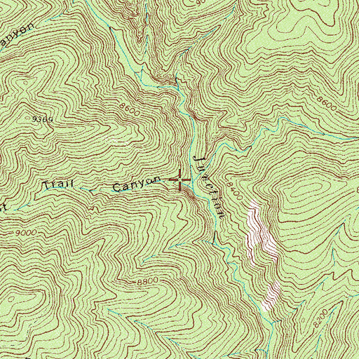 Topographic Map of Castle Creek, CO