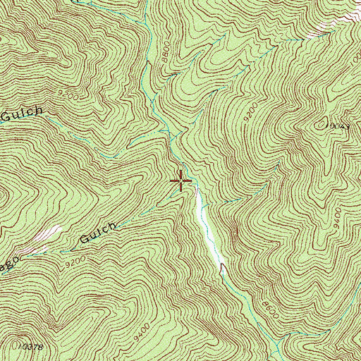 Topographic Map of Chicago Gulch, CO