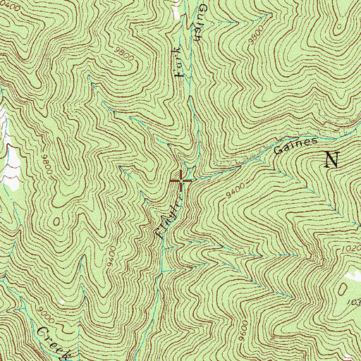 Topographic Map of Gaines Gulch, CO