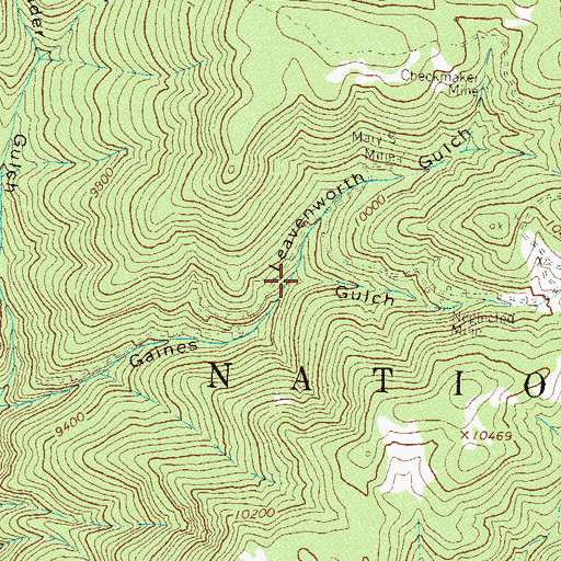Topographic Map of Leavenworth Gulch, CO