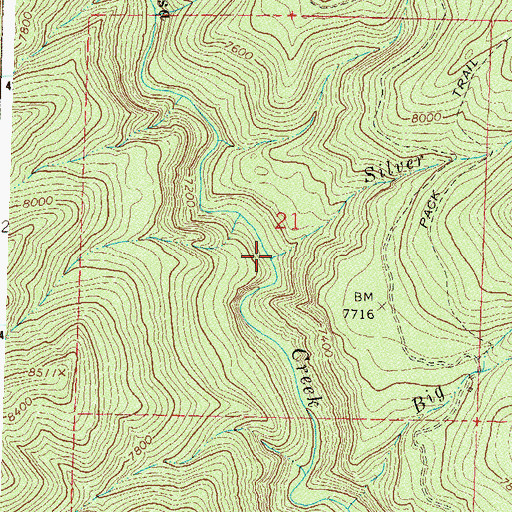 Topographic Map of Silver Creek, CO